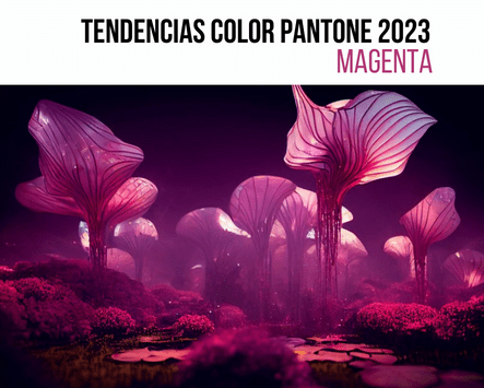 Tendencia Pantone 2023 : Viva Magenta